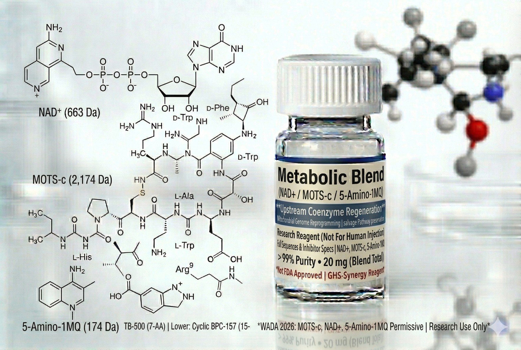 Metabolic Blend: NAD+ / MOTS-c / 5-Amino-1MQ (100mg / 10mg / 10mg)